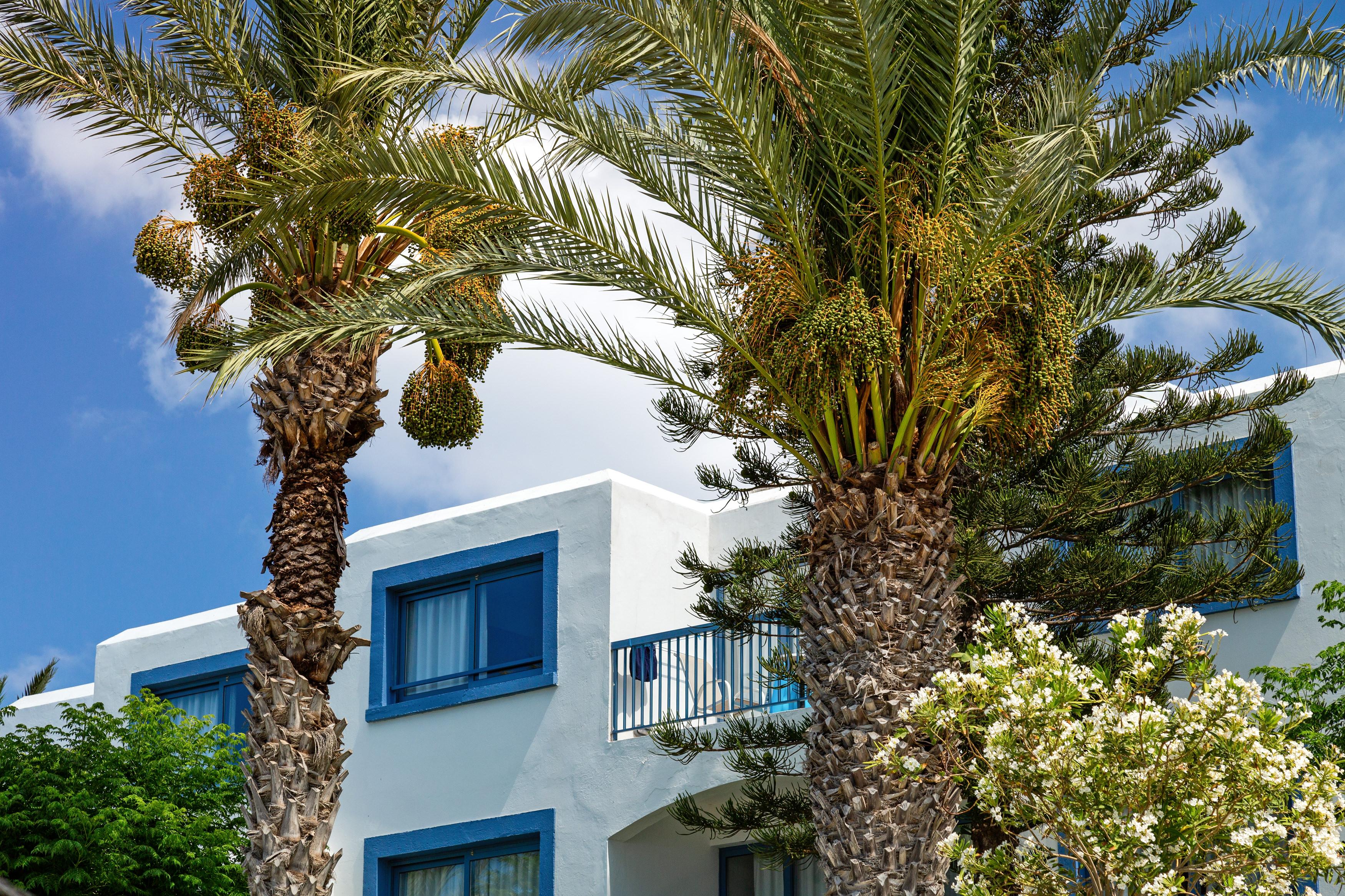 Nausicaa Beach Protaras Exterior foto